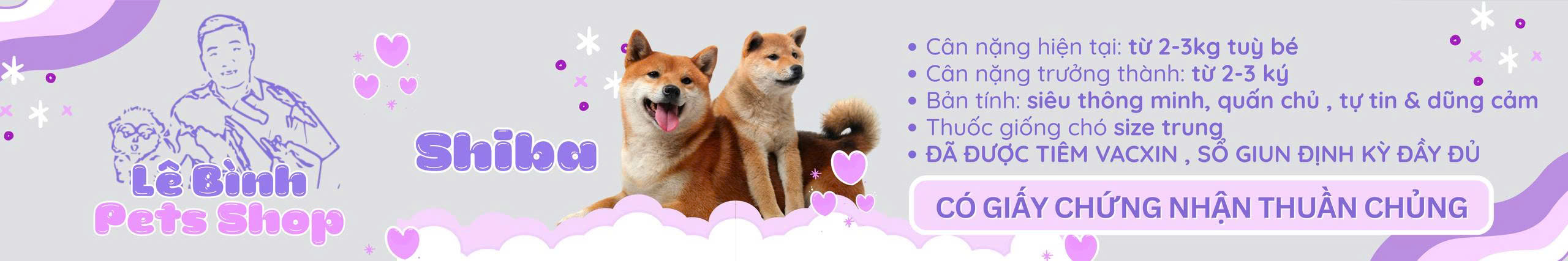 shiba