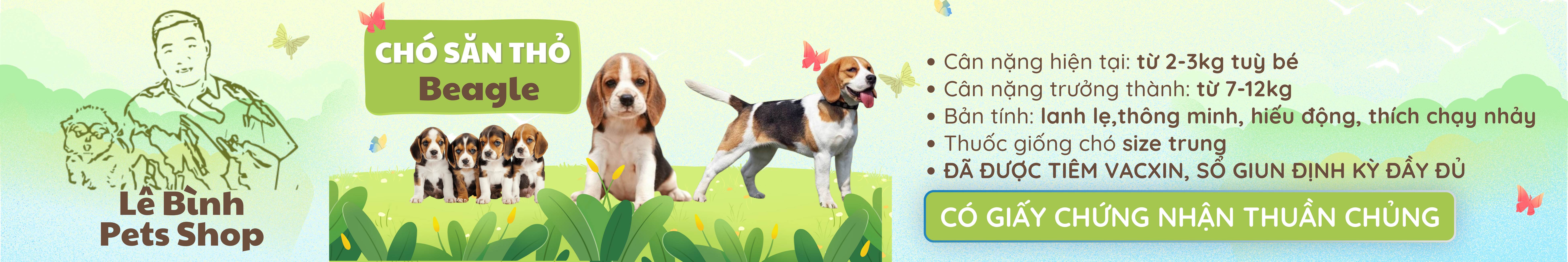 9 PAGE Lê bình pets shop 5000x835