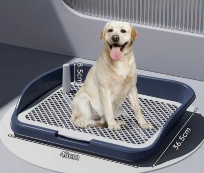 Khay đi vệ sinh cao cấp