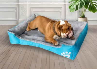 Mấy mẫu nệm đồng giá