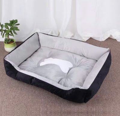 Mấy mẫu nệm đồng giá