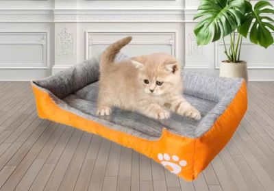 Mấy mẫu nệm đồng giá