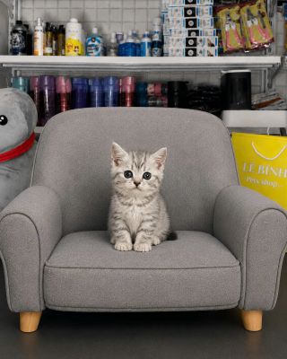 Tabby