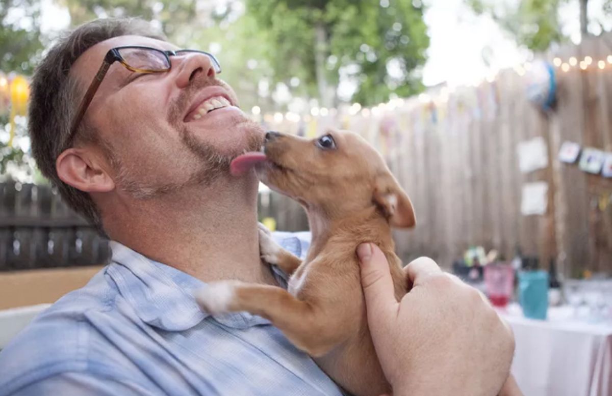 C&aacute;ch giải quyết vấn đề khi c&aacute;c d&ograve;ng ch&oacute; nhỏ bị mệt do tuột đường